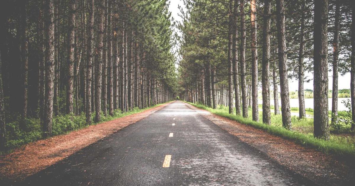 Trade Schools and Skilled Trades: A Christian View of Vocational Calling