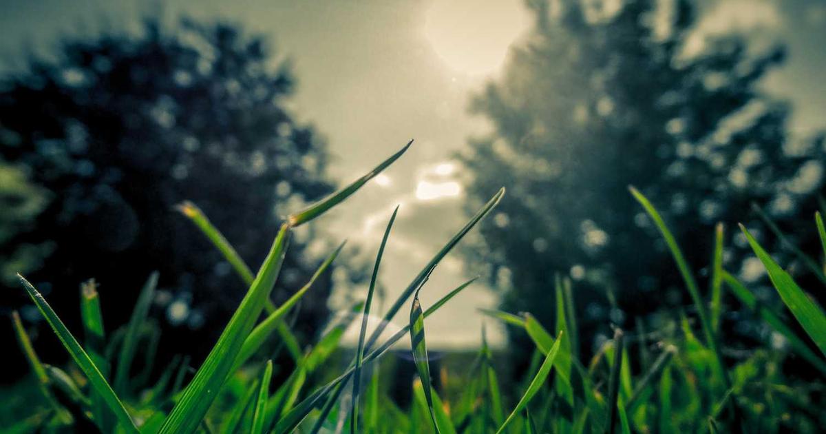 Vocational vs College Track: Christian Perspective